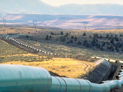 Section of natural gas pipeline