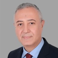 portrait of Tarek Abdel-Hamid
