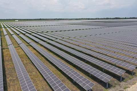 Bechtel Celebrates the Completion of the Cutlass Solar Farm Project