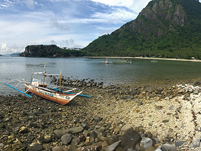 Image representing Philippines Coastal Protection: A Green-Grey Approach to Resilience