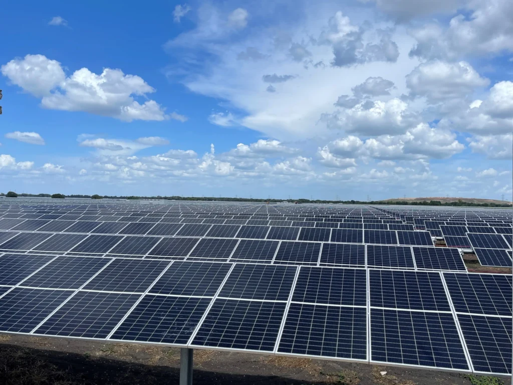 View of rows of solar panels in a field with a blue sky above.
