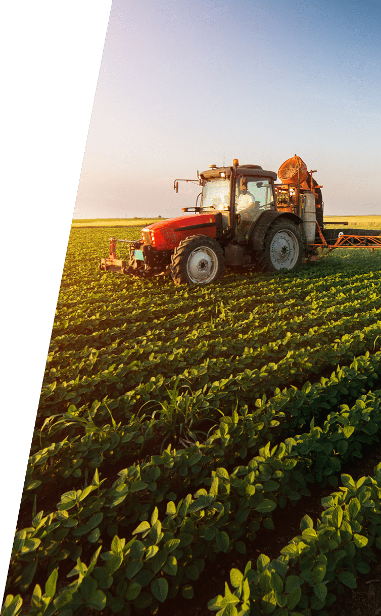 Tractor spraying pesticides on soybean field  with sprayer at spring