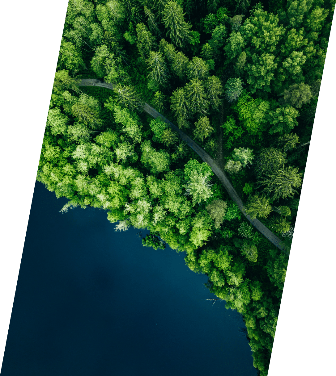 Aerial top view of country road in green summer forest and blue lake  Rural landscape in Finland  Drone photography from above 
