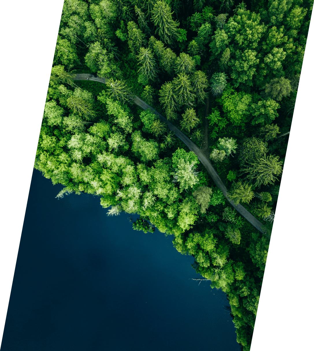 Aerial top view of country road in green summer forest and blue lake  Rural landscape in Finland  Drone photography from above 