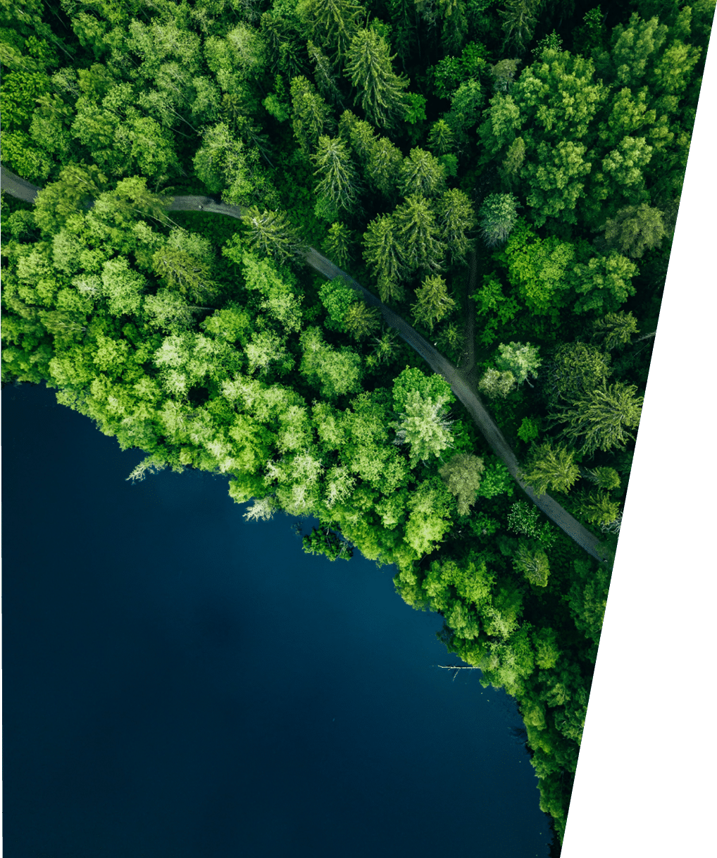 Aerial top view of country road in green summer forest and blue lake  Rural landscape in Finland  Drone photography from above 